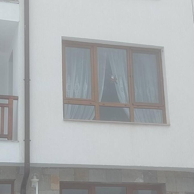 شقة Семи Гарден بوروفتس المظهر الخارجي الصورة
